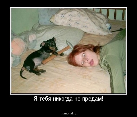 Я тебя никогда не предам!