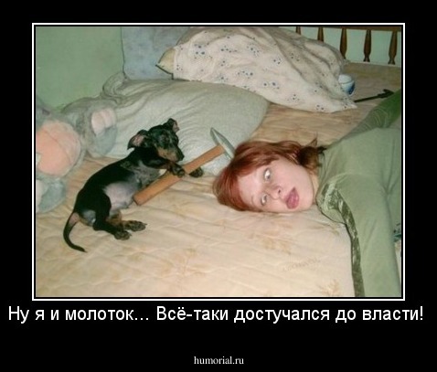 Ну я и молоток... Всё-таки достучался до власти! 
