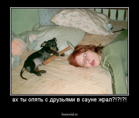 ах ты опять с друзьями в сауне жрал?!?!?!