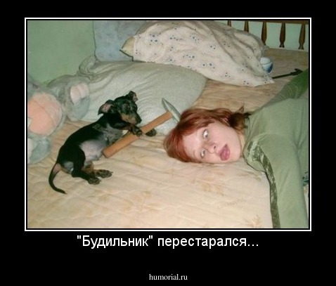 "Будильник" перестарался...