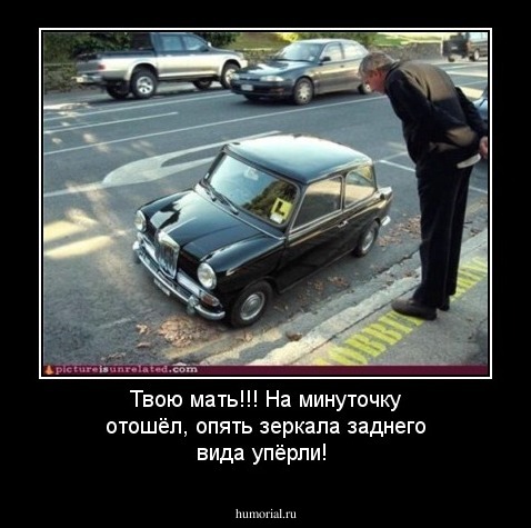 Твою мать!!! На минуточку отошёл, опять зеркала заднего вида упёрли!
