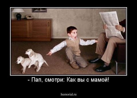 - Пап, смотри: Как вы с мамой!