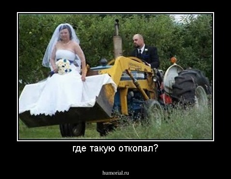 где такую откопал?