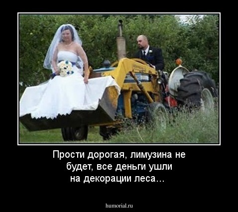 Прости дорогая, лимузина не будет, все деньги ушли на декорации леса... 