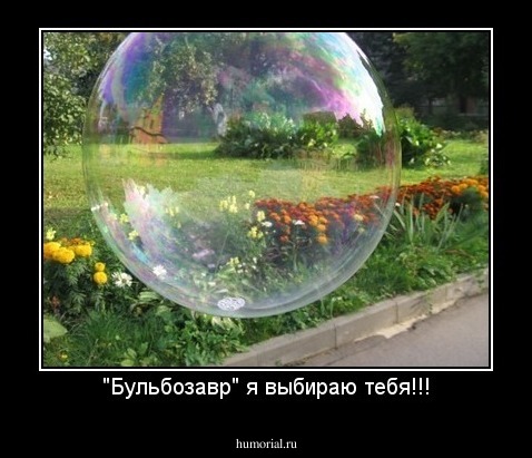 "Бульбозавр" я выбираю тебя!!!