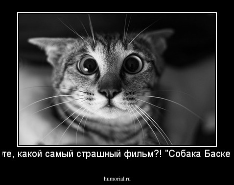 - Вы знаете, какой самый страшный фильм?! "Собака Баскервилей"!!!