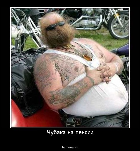 Чубака на пенсии