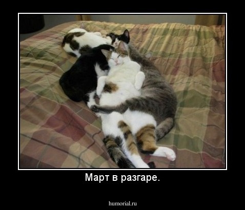 Март в разгаре.