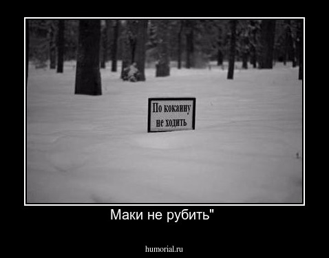 Маки не рубить" 