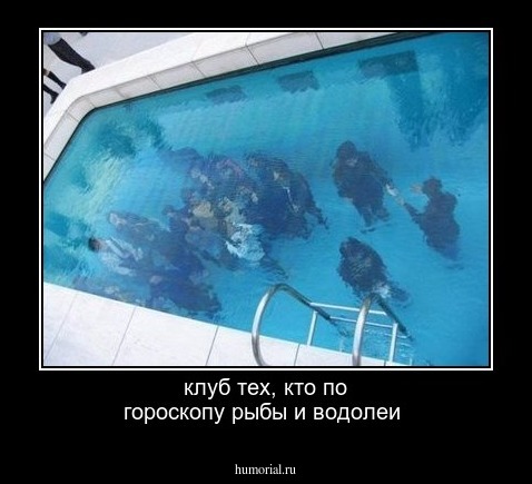 клуб тех, кто по гороскопу рыбы и водолеи