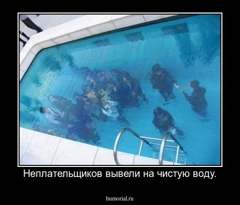 Неплательщиков вывели на чистую воду.