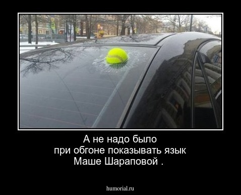 А не надо было при обгоне показывать язык Маше Шараповой .