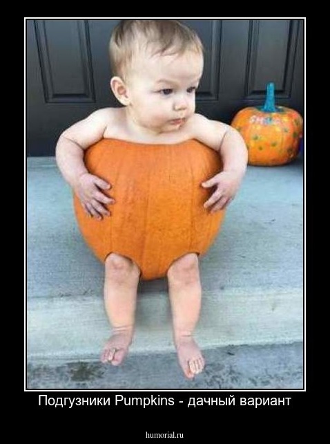 Подгузники Pumpkins - дачный вариант