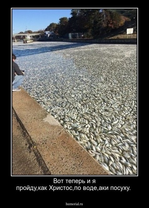 Вот теперь и я пройду,как Христос,по воде,аки посуху.