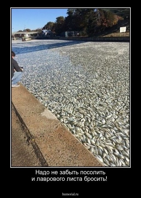 Надо не забыть посолить и лаврового листа бросить!