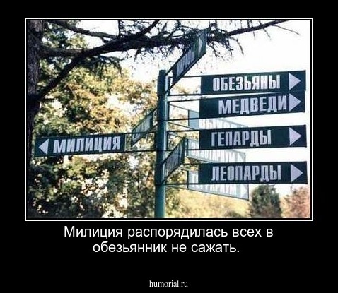 Милиция распорядилась всех в обезьянник не сажать.