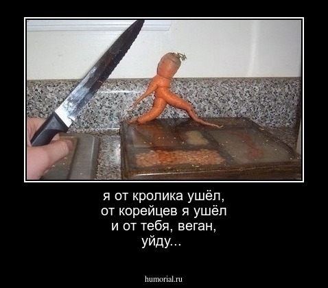 я от кролика ушёл, от корейцев я ушёл и от тебя, веган, уйду...