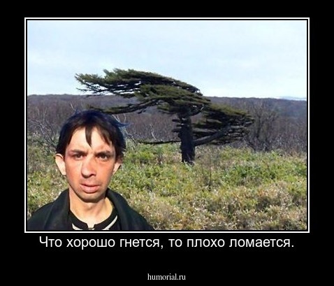 Что хорошо гнется, то плохо ломается.