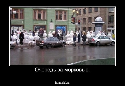 Очередь за морковью.