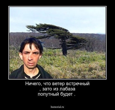 Ничего, что ветер встречный , зато из лабаза попутный будет . 