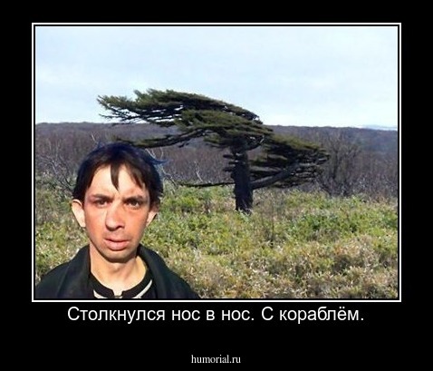 Столкнулся нос в нос. С кораблём.