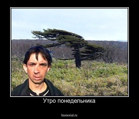 Утро понедельника