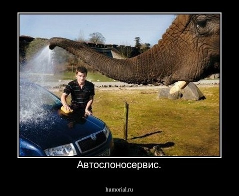 Автослоносервис.