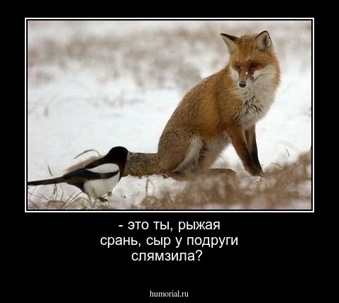 - это ты, рыжая срань, сыр у подруги  слямзила?