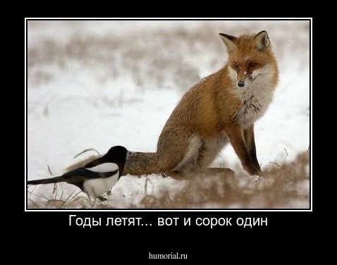 Годы летят... вот и сорок один