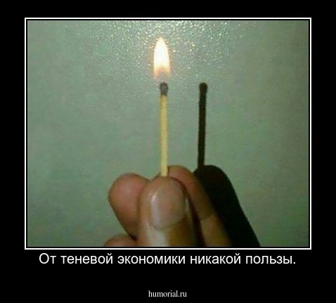 От теневой экономики никакой пользы.