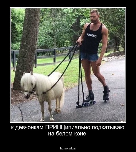 к девчонкам ПРИНЦипиально подкатываю на белом коне