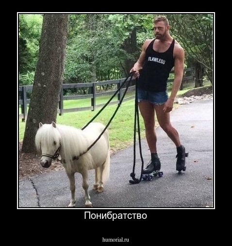 Понибратство