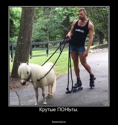 Крутые ПОНЬты.