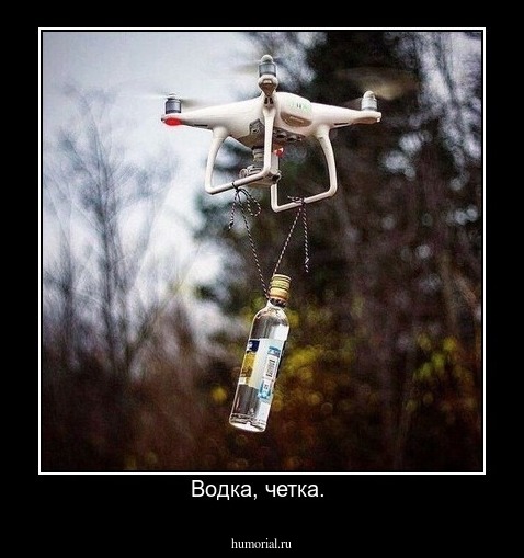 Водка, четка. 