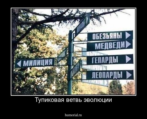 Тупиковая ветвь эволюции