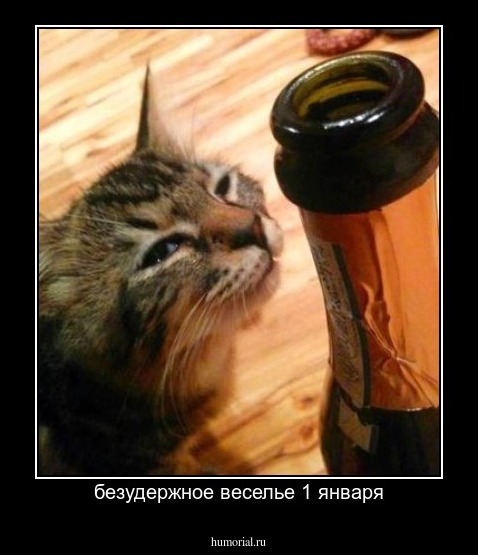 безудержное веселье 1 января