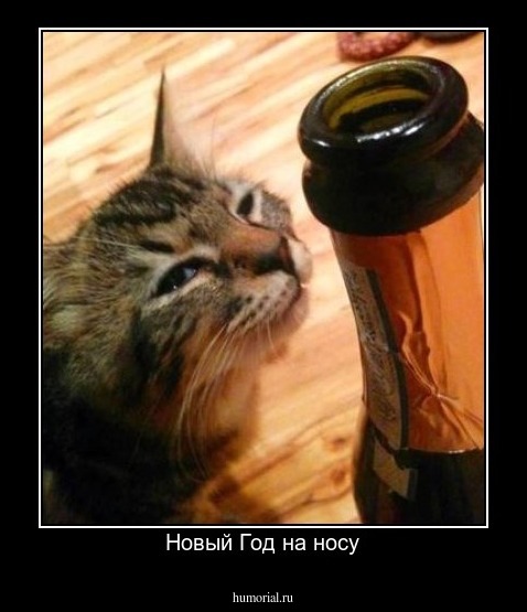 Новый Год на носу