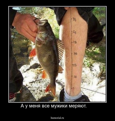 А у меня все мужики меряют.     