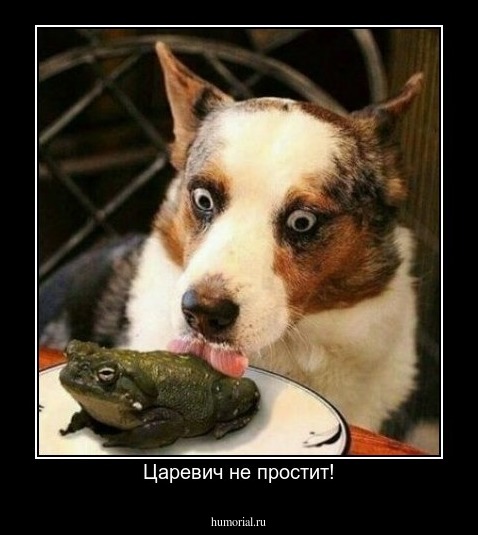 Царевич не простит!