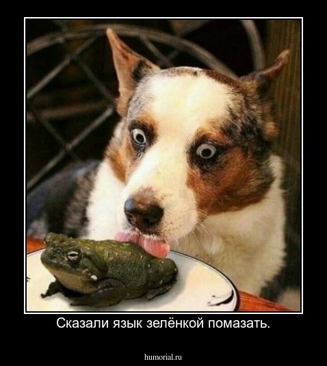 Сказали язык зелёнкой помазать.
