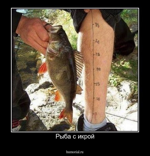Рыба с икрой