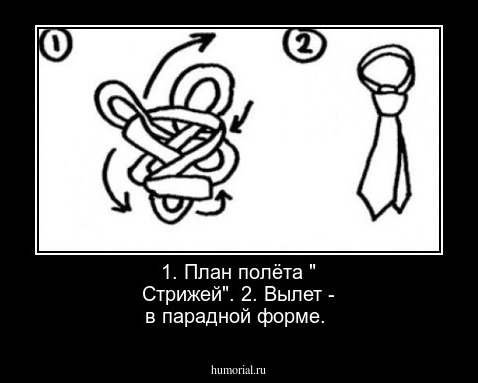 1. План полёта " Стрижей".  2. Вылет - в парадной форме.