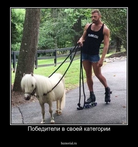 Победители в своей категории