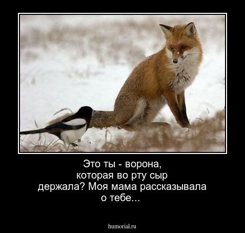 Это ты - ворона, которая во рту сыр держала?
Моя мама рассказывала о тебе...