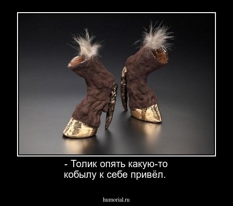 - Толик опять какую-то кобылу к себе привёл.