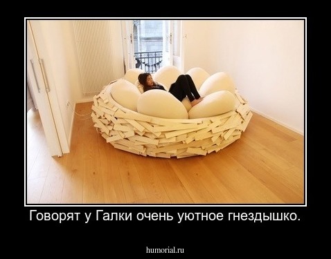 Говорят у Галки очень уютное гнездышко.