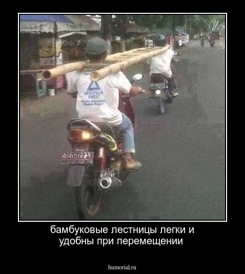 бамбуковые лестницы легки и удобны при перемещении