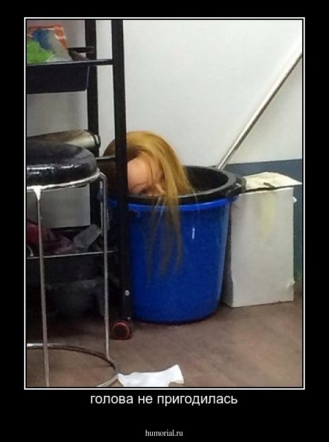 голова не пригодилась
