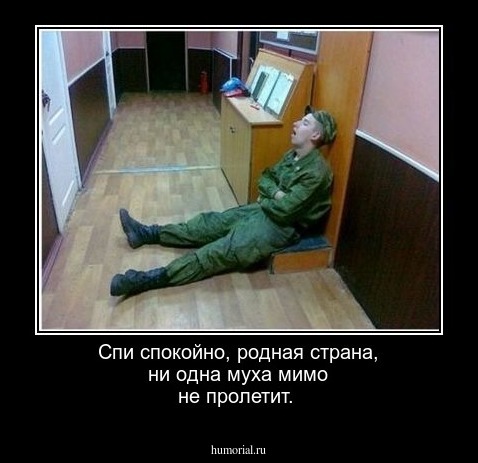 Спи спокойно, родная страна, ни одна муха мимо не пролетит.