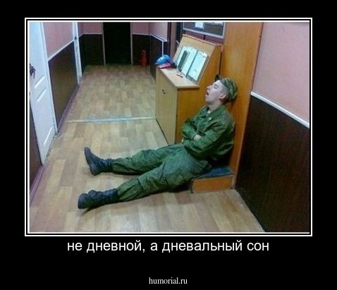 не дневной, а дневальный сон